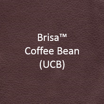 PR-632 Day Dreamer Lift Chair by Golden Technologies Rolling